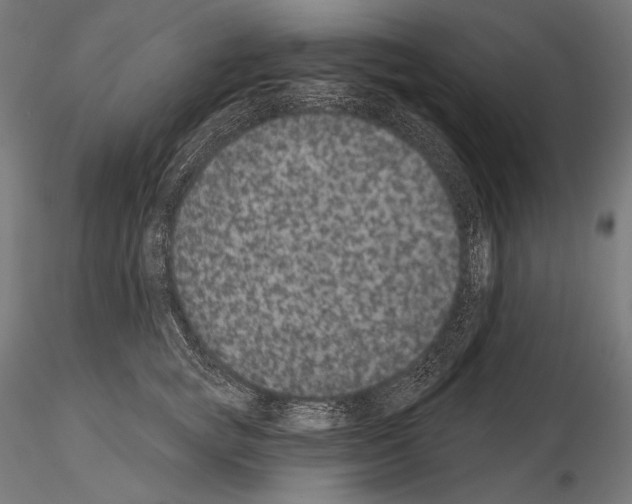 X0000115070757200912081147