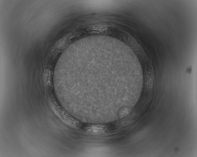 X0000115070758200912081147