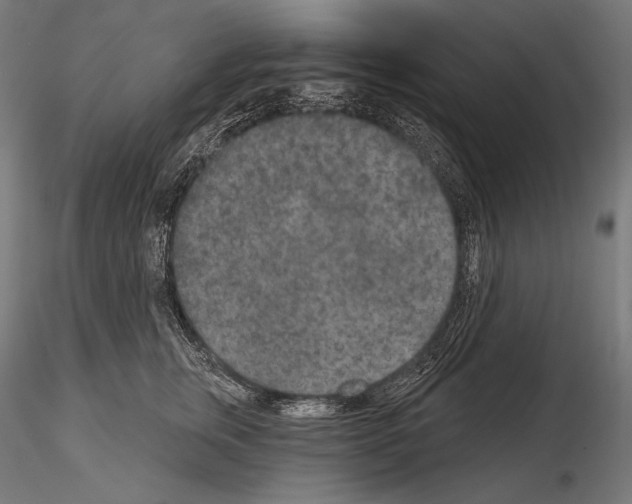 X0000115070759200912081148