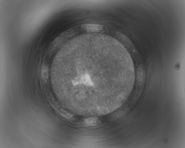 X0000115070761200912081148
