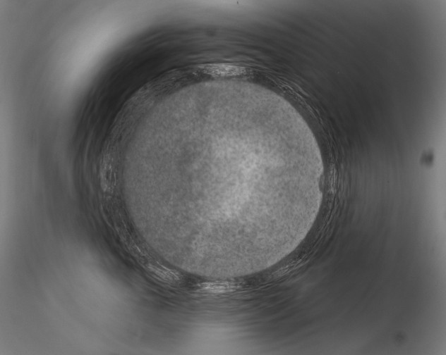 X0000115070763200912081148