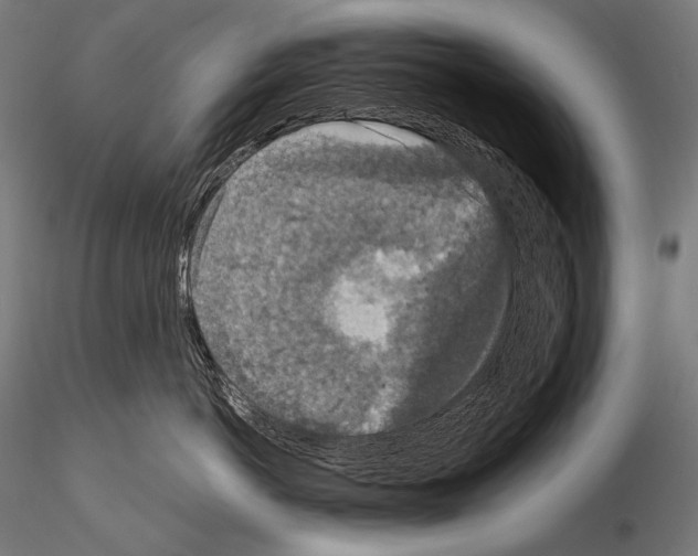 X0000115070766200912081148
