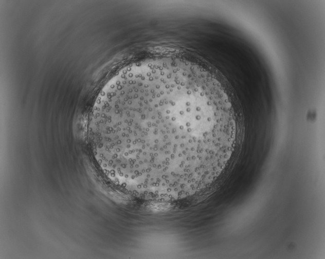 X0000115070767200912081148