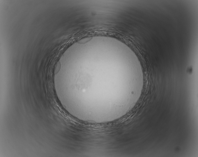 X0000115070769200912081147