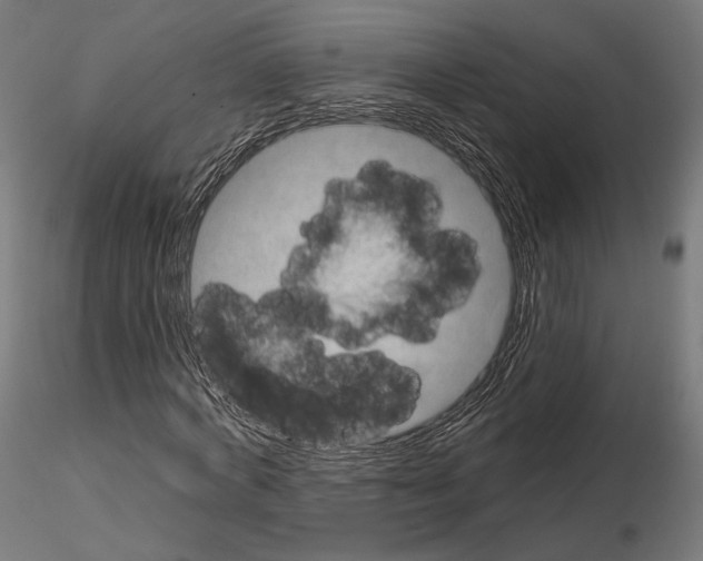 X0000115070772200912081147