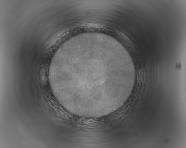 X0000115070774200912081147