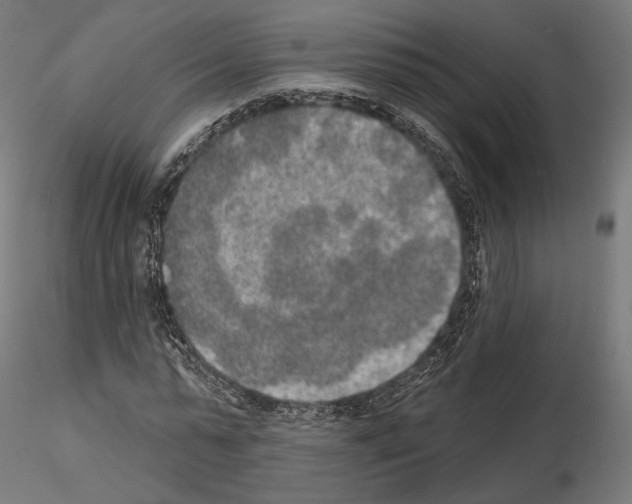 X0000115070775200912081147
