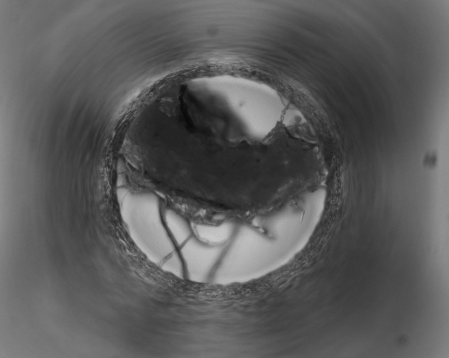 X0000115070776200912081147