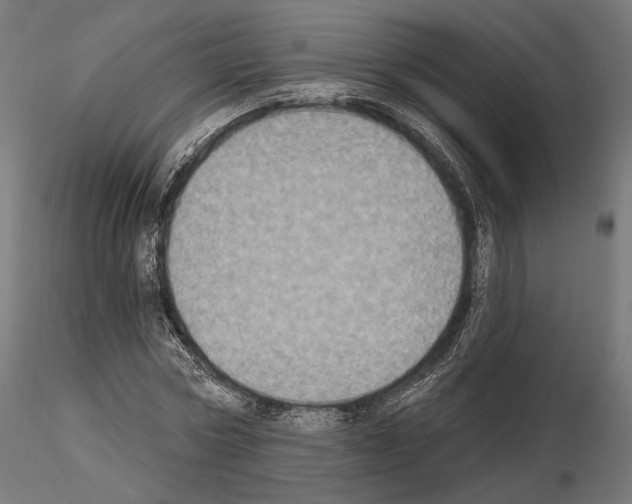 X0000115070778200912081147