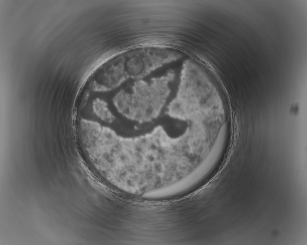 X0000115070779200912081147