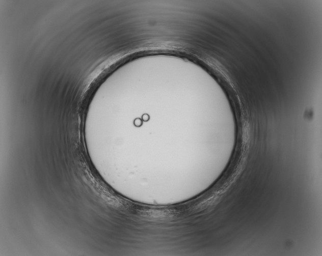 X0000115070781200912081147