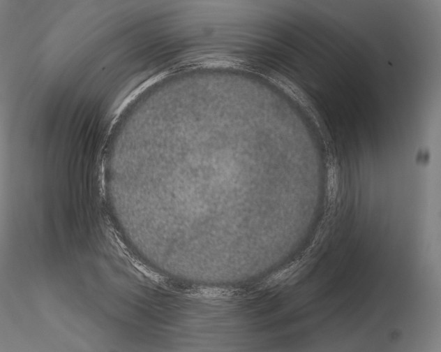 X0000115070782200912081147