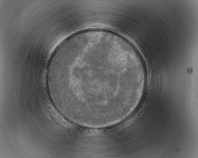 X0000115070783200912081147