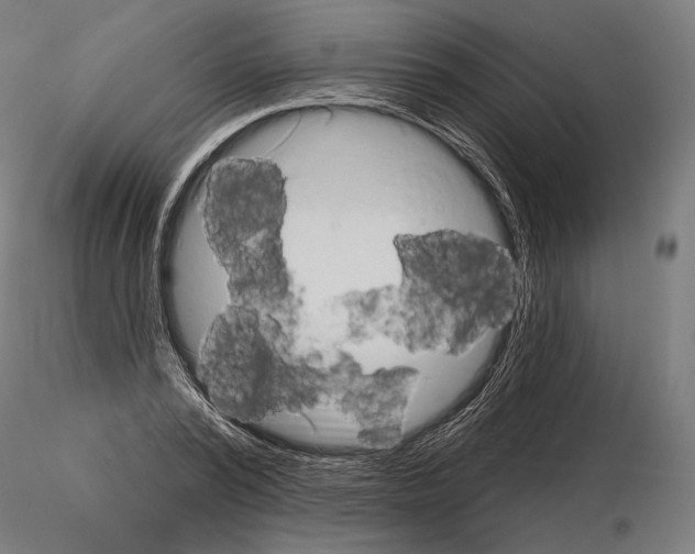 X0000115070784200912081147