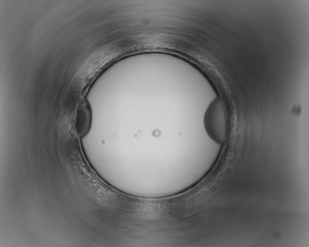 X0000115070785200912081147