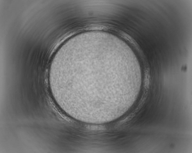 X0000115070786200912081147