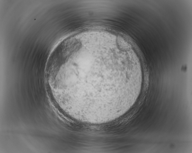 X0000115070787200912081147