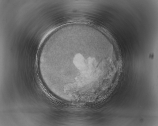 X0000115070788200912081147