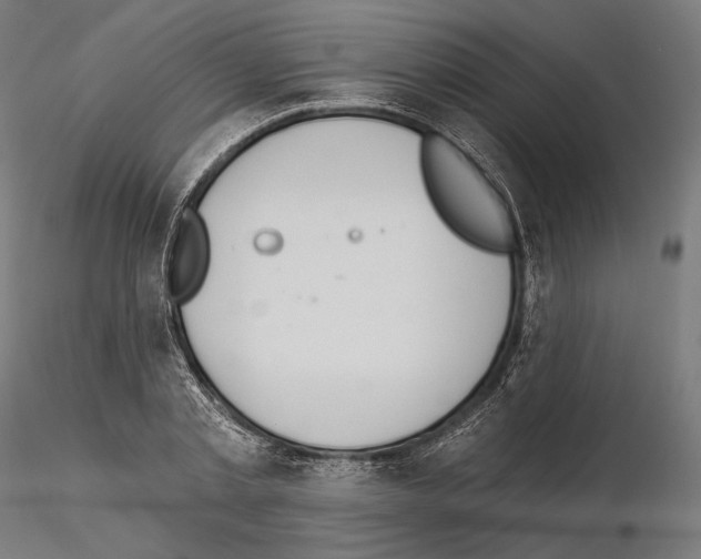X0000115070789200912081147