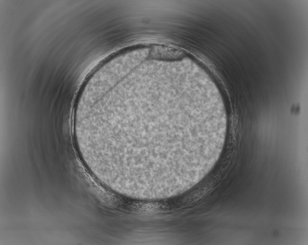 X0000115070791200912081147