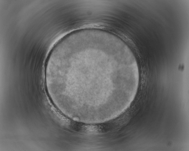 X0000115070792200912081147
