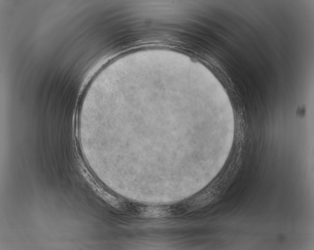 X0000115070796200912081146