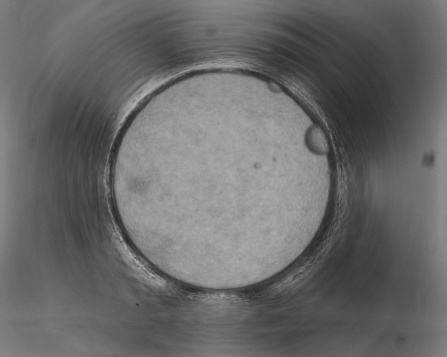 X0000115070797200912081146