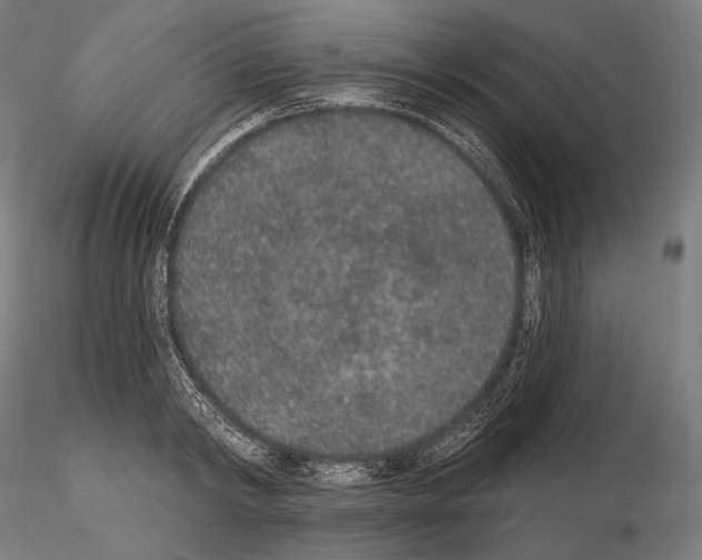 X0000115070798200912081146