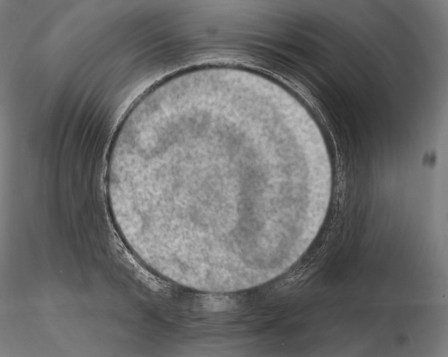 X0000115070799200912081146