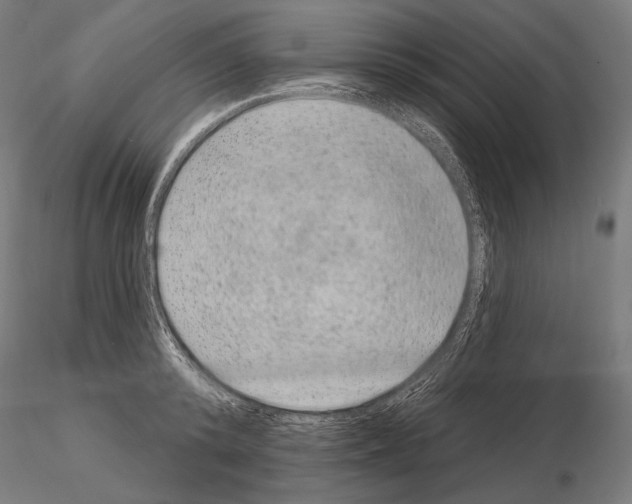 X0000115070800200912081146