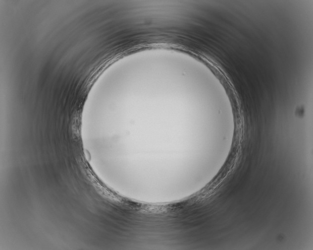X0000115070801200912081146
