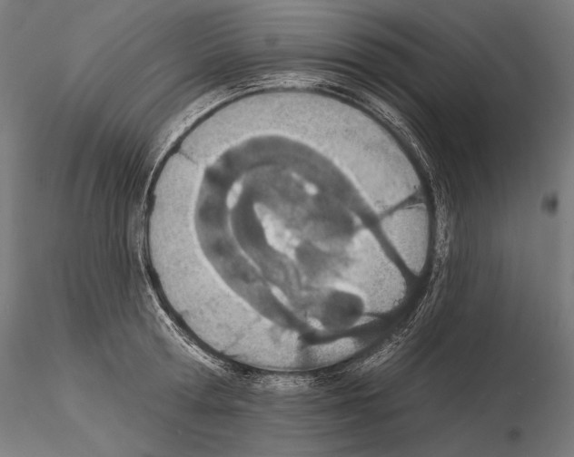 X0000115070802200912081146