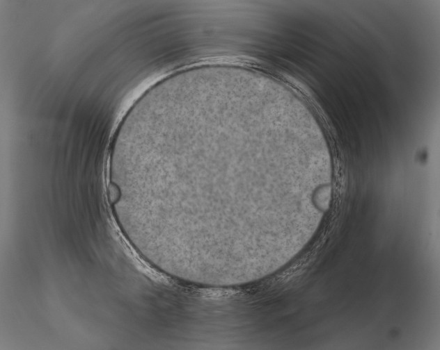 X0000115070804200912081146