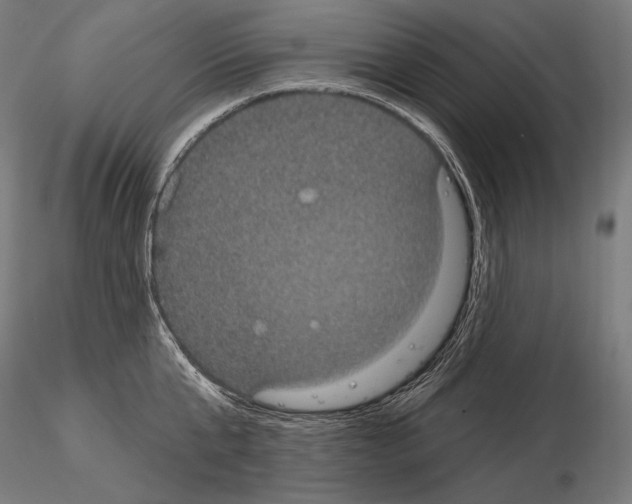 X0000115070807200912081146
