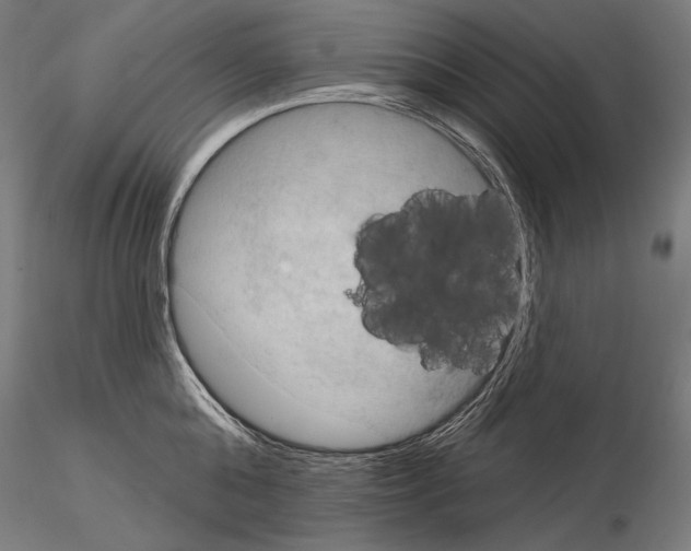 X0000115070808200912081146