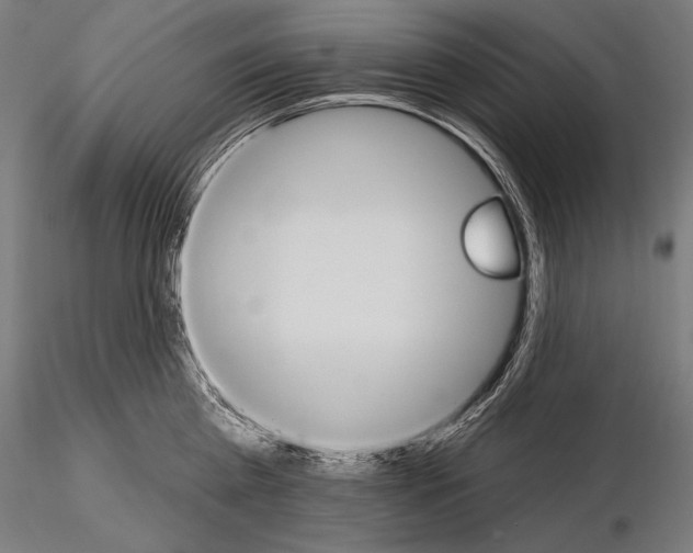 X0000115070809200912081146