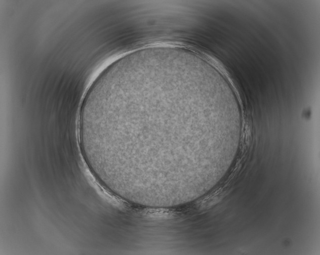 X0000115070811200912081146