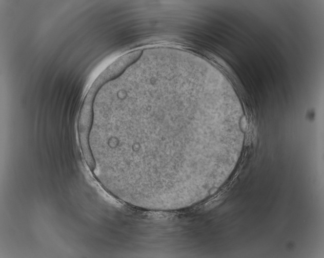 X0000115070812200912081146
