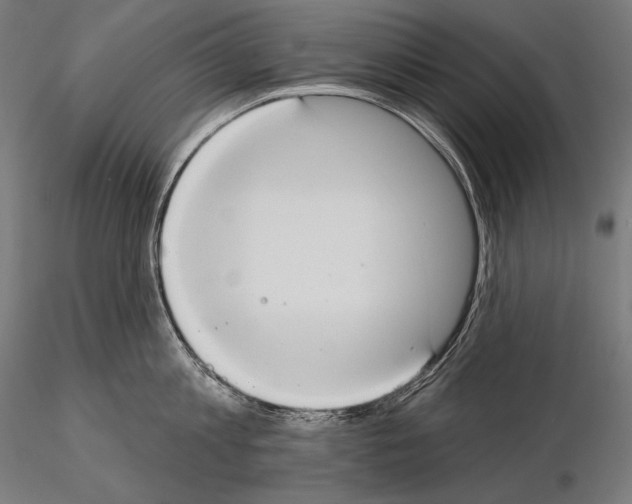X0000115070813200912081146