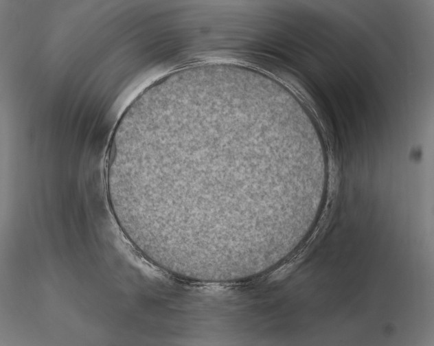 X0000115070814200912081146