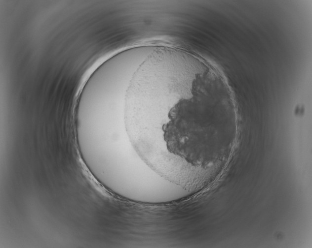 X0000115070816200912081146