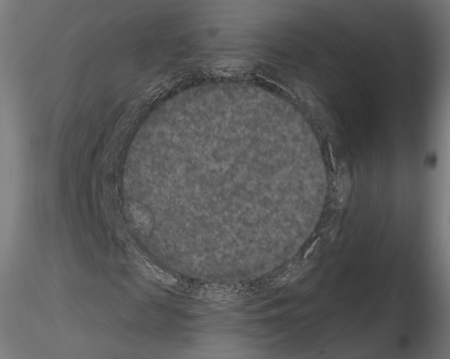 X0000115070817200912081145