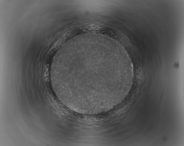 X0000115070818200912081145