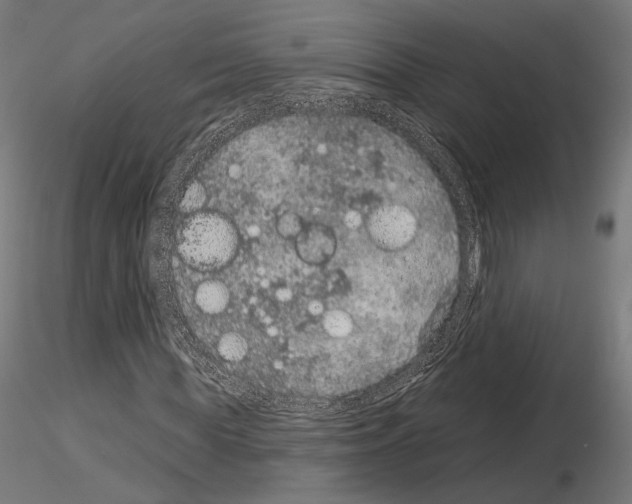 X0000115070819200912081145