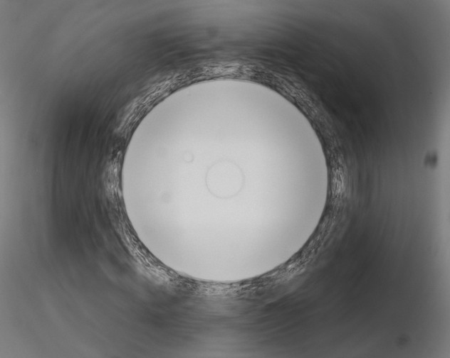 X0000115070820200912081145