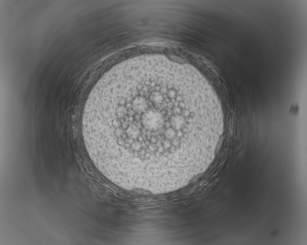 X0000115070821200912081146