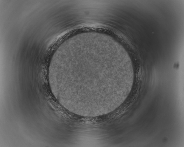 X0000115070822200912081146