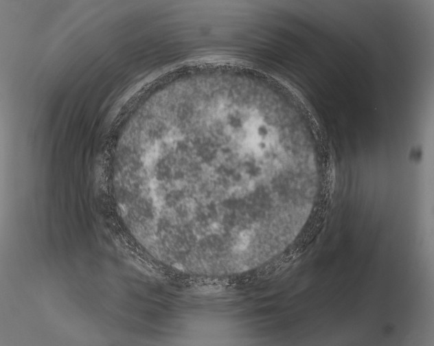 X0000115070823200912081146