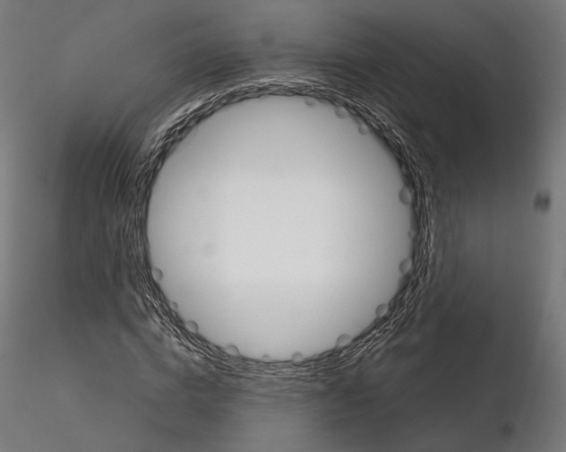 X0000115070824200912081146