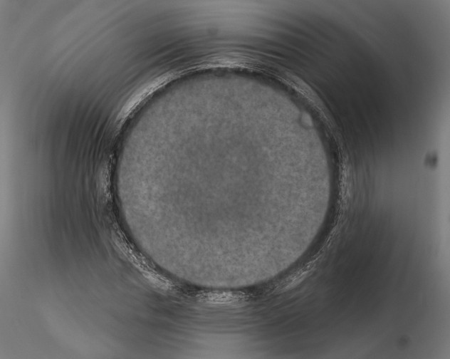 X0000115070826200912081146